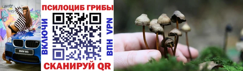 Галлюциногенные грибы Psilocybine cubensis  Анива 